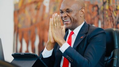 Tony Elumelu Biography